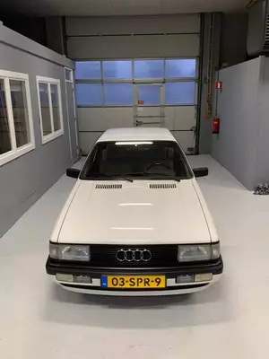 47137303_944399695770254_3763805031191543808_n.webp
