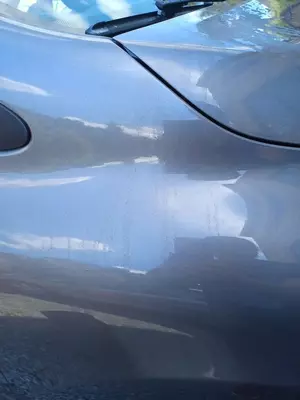 293741936_10223792591695158_7794197855690087156_n.webp