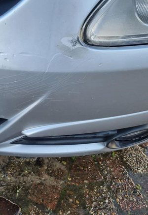 schade bumper.jpg