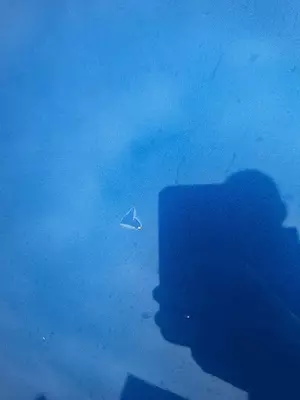 20250816_100803.webp