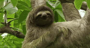 200.gif