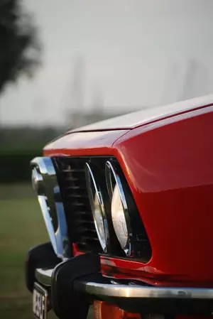 DSC_5159a.webp