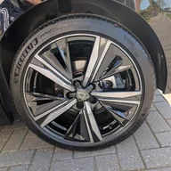 Shiny black 308