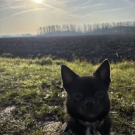 MerientjeEerland
