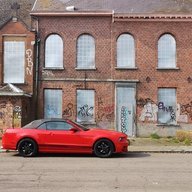Mustang13